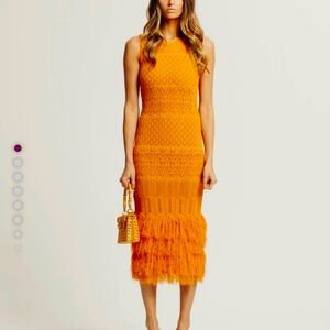 Torn by Ronny Kobo Orange Maxi Dress